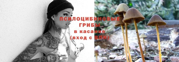 хмурый Алексеевка
